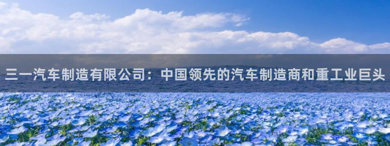 彩神大发云