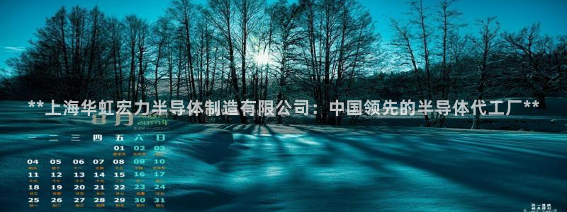 彩神ix可靠吗：**上海华虹宏力半导体制造有限公司：中国领先