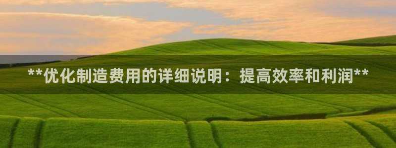彩神大发黑平台：**优化制造费用的详细说明：提高效率和利润*