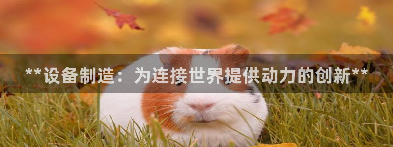 彩神ii官方网