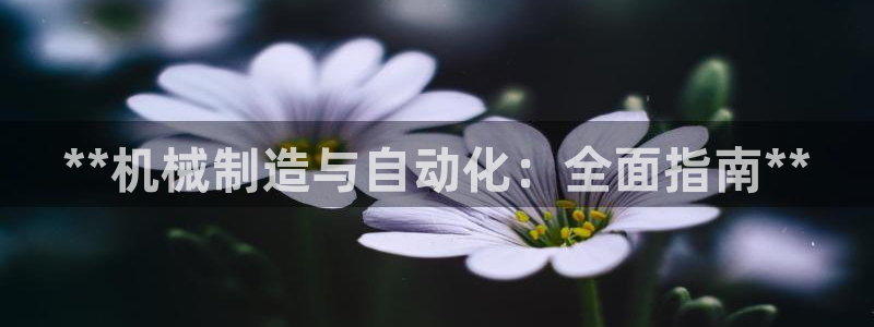 彩神iv争霸购彩大厅：**机械制造与自动化：全面指南**