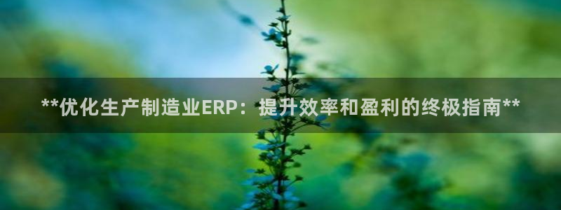 彩神v8平台正规吗可靠吗：**优化生产制造业ERP：提升效率和盈利的终极指南**