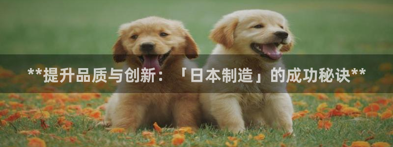 彩神vl官网：**提升品质与创新：「日本制造」的成功秘诀**