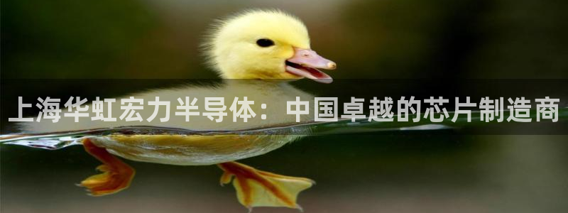 彩神Vll：上海华虹宏力半导体：中国卓越的芯片制造商