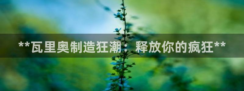下载彩神v8：**瓦里奥制造狂潮：释放你的疯狂**