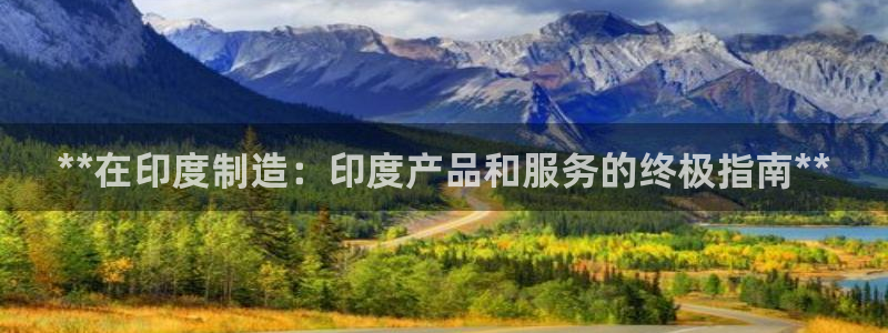 彩神V8有限公司：**在印度制造：印度产品和服务的终极指南*