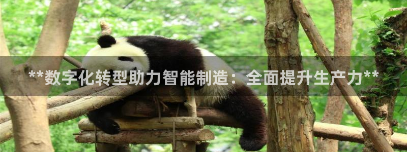 新版彩神v8登录教程：**数字化转型助力智能制造：全面提升生产力**