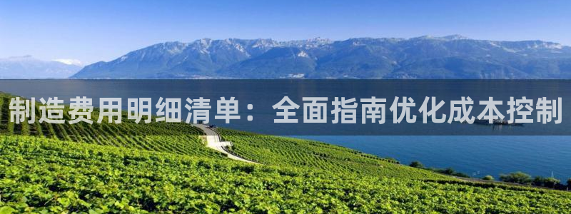 彩神8最新版下载：制造费用明细清单：全面指南优化成本控制