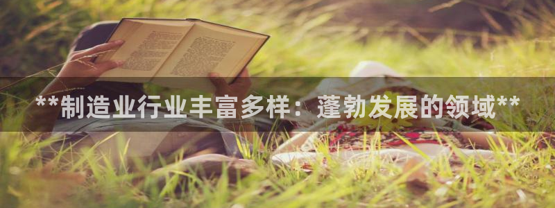 彩神v8手机客户端：**制造业行业丰富多样：蓬勃发展的领域**
