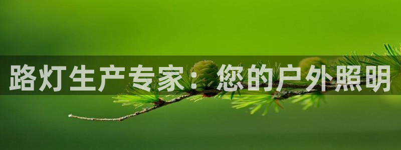彩神旗下有哪些平台：路灯生产专家：您的户外照明