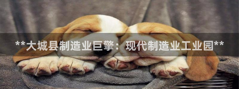 彩神v8手机客户端