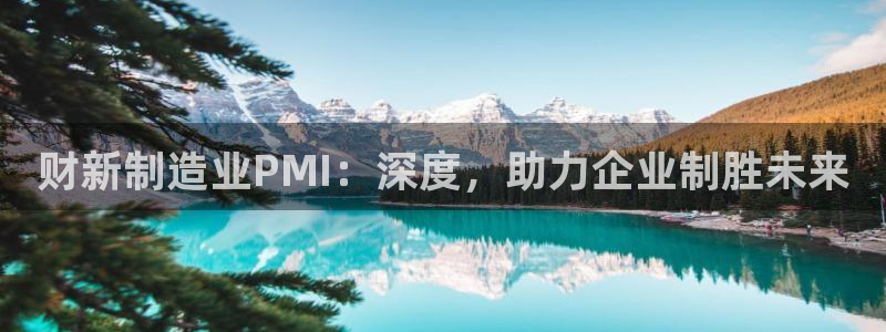 彩神v8下载app5.0：财新制造业PMI：深度，助力企业制胜未来