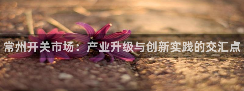 彩神争霸官网登录平台：常州开关市场：产业升级与创新实践的交汇点