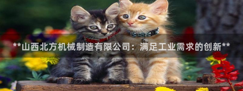 彩神V集团公司