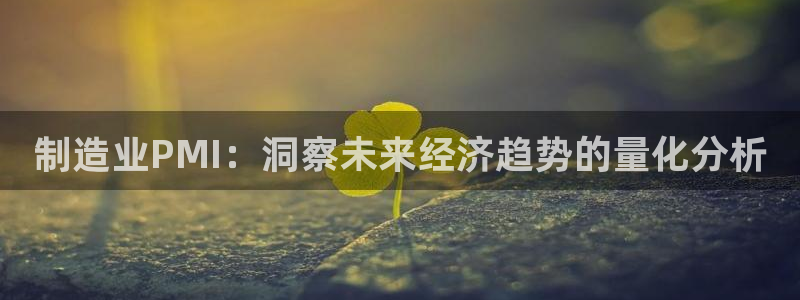 彩神客服电话：制造业PMI：洞察未来经济趋势的量化分析