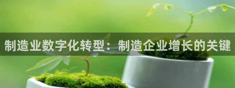 彩神vii官网：制造业数字化转型：制造企业增长的关键