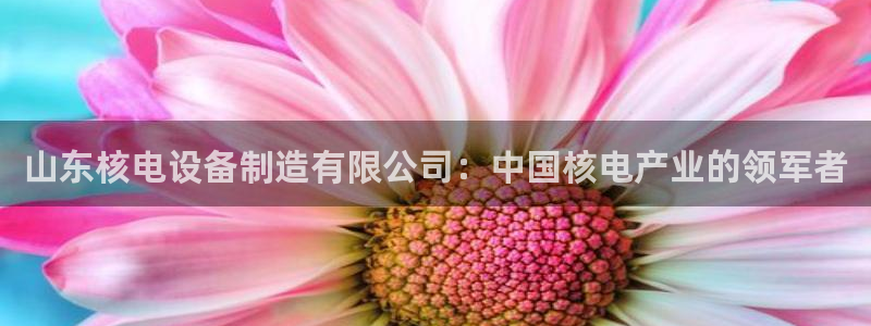 天天彩神welcome：山东核电设备制造有限公司：中国核电产业的领军者