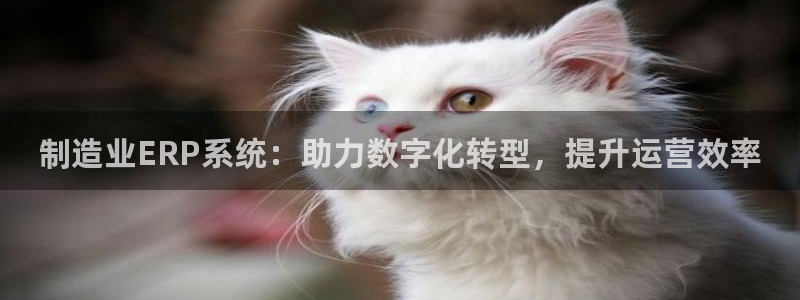 彩神ii官方网：制造业ERP系统：助力数字化转型，提升运营效