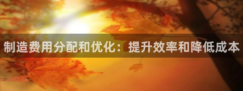 彩神赢钱了吗知乎：制造费用分配和优化：提升效率和降低成本
