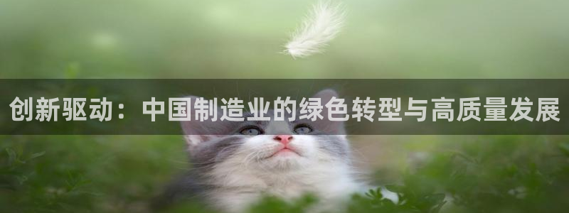 彩神购彩-购彩大厅入口：创新驱动：中国制造业的绿色转型与高质量发展