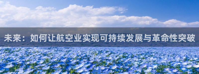 彩神ⅴll用户登录：未来：如何让航空业实现可持续发展与革命性突破