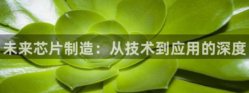彩神v网赌软件下载：未来芯片制造：从技术到应用的深度