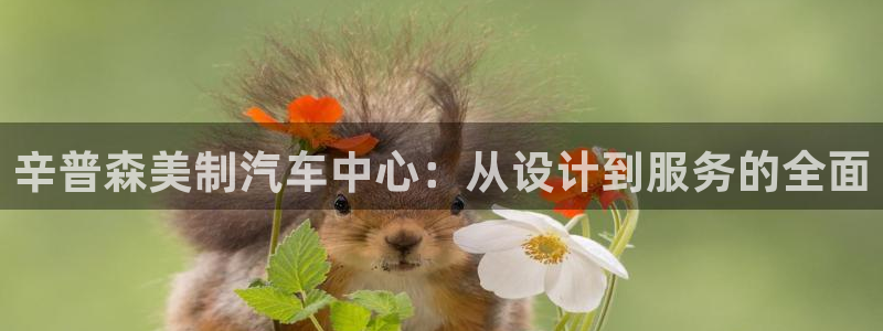 彩神vll首页企业文化：辛普森美制汽车中心：从设计到服务的全面