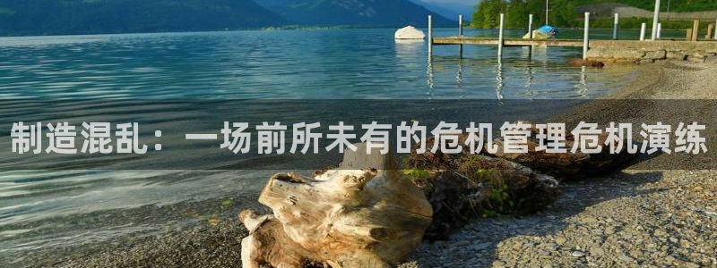 彩神VI首页：制造混乱：一场前所未有的危机管理危机演练