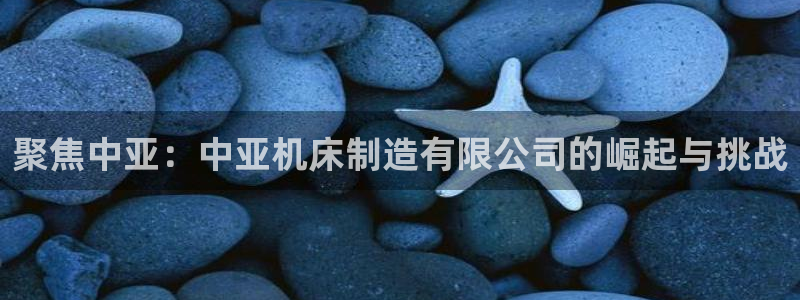 彩神网合法吗：聚焦中亚：中亚机床制造有限公司的崛起与挑战