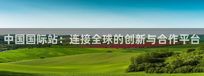 彩神ll能赚钱吗：中国国际站：连接全球的创新与合作平台