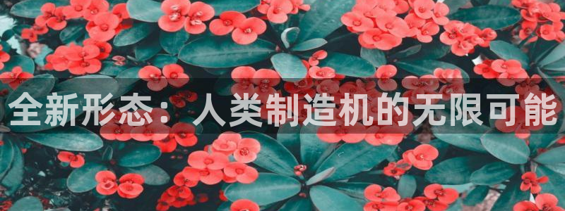 彩神vip购彩：全新形态：人类制造机的无限可能