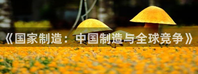 彩神v8是一个什么平台游戏：《国家制造：中国制造与全球竞争》