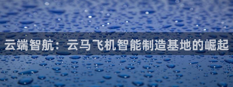 彩神vip购彩大厅：云端智航：云马飞机智能制造基地的崛起