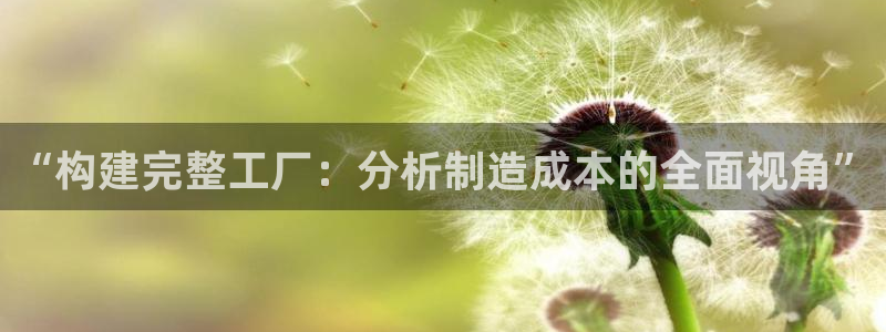 彩神v违法么：“构建完整工厂：分析制造成本的全面视角”