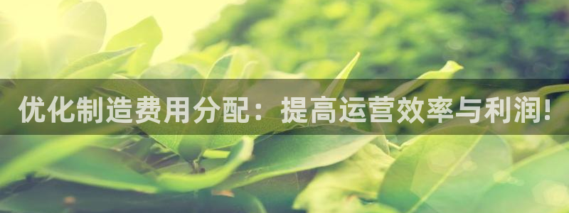 彩神V购彩大厅：优化制造费用分配：提高运营效率与利润!