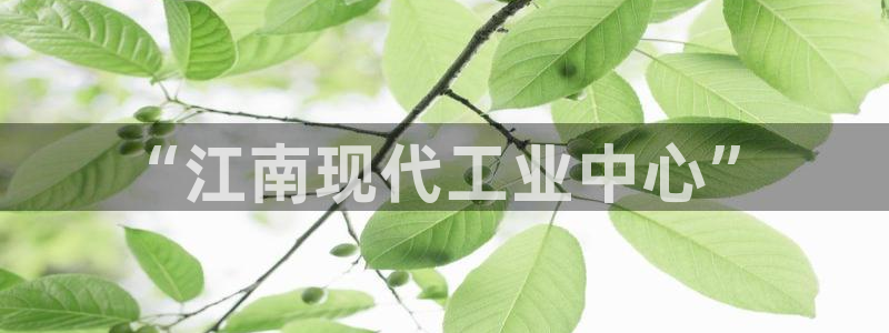 彩神iv能赚钱吗：“江南现代工业中心”