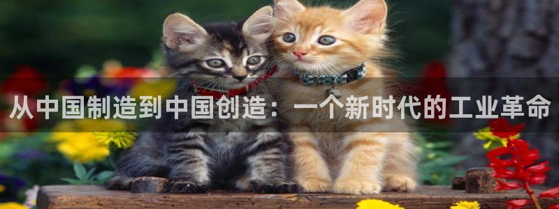 彩神8软件下载：从中国制造到中国创造：一个新时代的工业革命