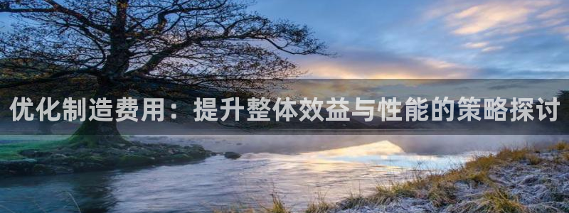 新版彩神v8登录不上去：优化制造费用：提升整体效益与性能的策略探讨