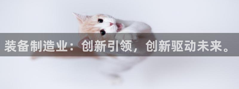 彩神8官网500：装备制造业：创新引领，创新驱动未来。