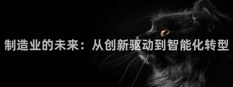 彩神V8有限公司：制造业的未来：从创新驱动到智能化转型