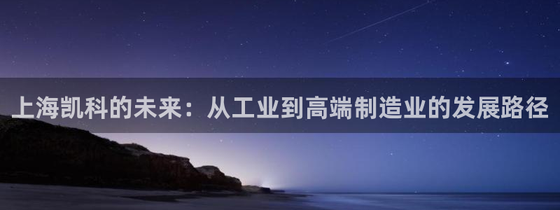彩神vll官网-最新版app下载：上海凯科的未来：从工业到高端制造业的发展路径