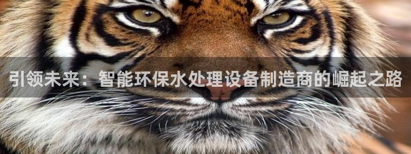 彩神购彩-购彩大厅入口老版：引领未来：智能环保水处理设备制造商的崛起之路