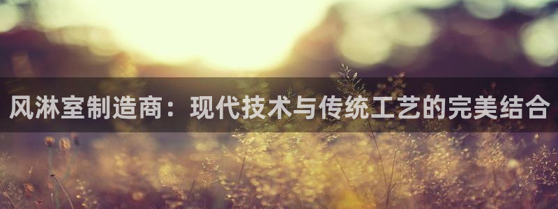 彩神争霸平台：风淋室制造商：现代技术与传统工艺的完美结合