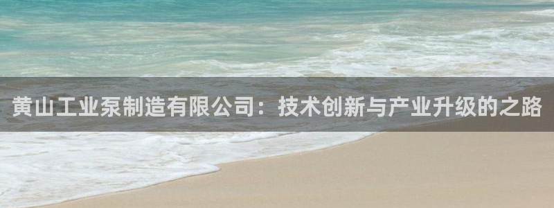 彩神vip购彩大厅在哪：黄山工业泵制造有限公司：技术创新与产业升级的之路