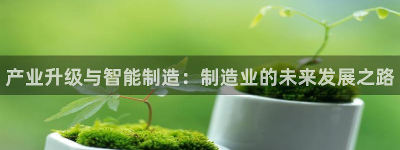 彩神iv真的能赚钱吗：产业升级与智能制造：制造业的未来发展之