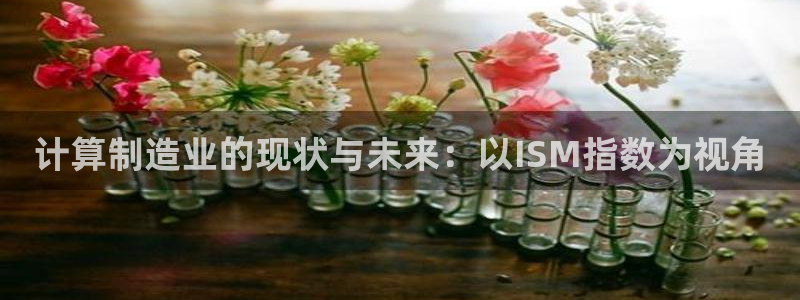 彩神 好 平台：计算制造业的现状与未来：以ISM指数为视角