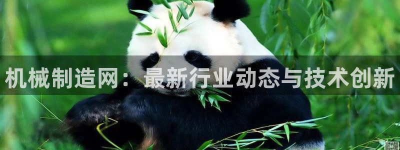 彩神8购彩-购彩大厅：机械制造网：最新行业动态与技术创新