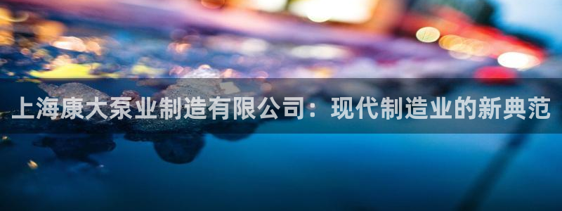 彩神v8平台正规吗：上海康大泵业制造有限公司：现代制造业的新典范