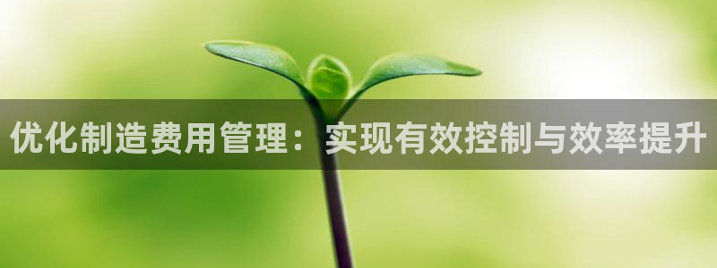 彩神是正规平台吗是真的吗：优化制造费用管理：实现有效控制与效