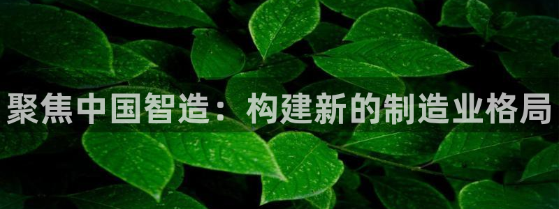彩神vll官网-最新版app下载：聚焦中国智造：构建新的制造业格局